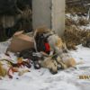 article_957_275