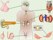 У прошедших диспасеризацию лидирующую позицию занимают болезни эндокринной системы