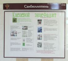 Зарегистрирован первый случай присасывания клещей в Зеленогорске