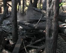 Травяные палы стали сегодня причиной пожара во втором садоводстве