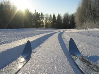 Сегодня в Зеленогорске стартуют лыжные гонки