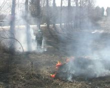 С сегодняшнего дня в Красноярском крае объявлен режим чрезвычайной ситуации в лесах